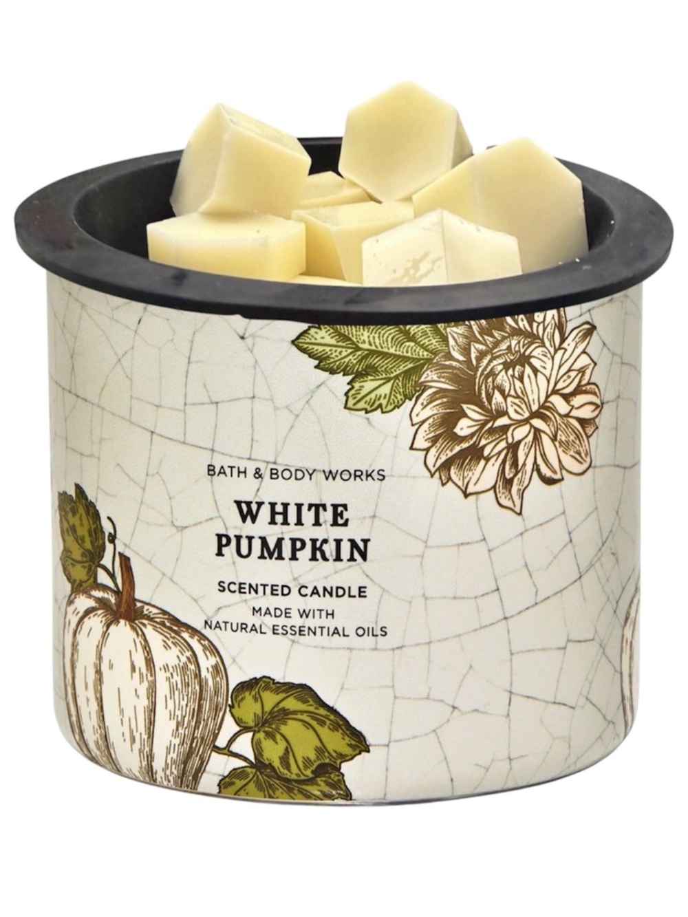 Wax Melts 4oz - Bath and Body Works - White Pumpkin
